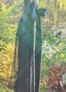 Elegant Black Velvet Dress