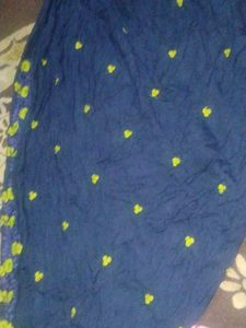 Lime Green &amp; Navy Embroidered Salwar Kameez