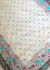 Elegant cream net saree