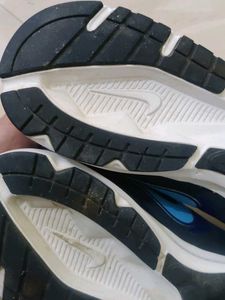 Never Worn Nike Shoes