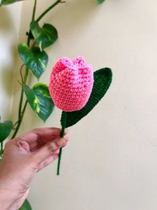 Crochet Tulip Flower