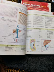 Combo BD CHAURASIA ANATOMY TEXTBOOK PART - 2&amp;3