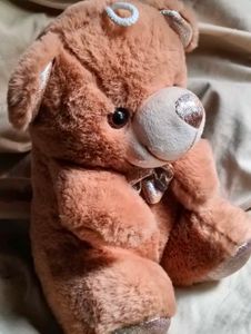 Teddy Bear