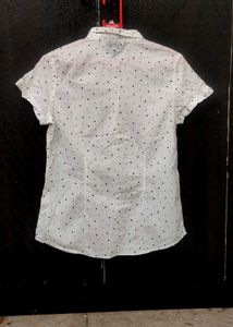 Crop Shirt By Honey Pantaloons