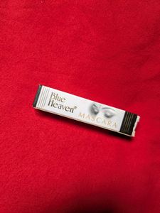 PACK OF 6