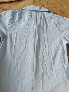 Blue Button-Down Shirt