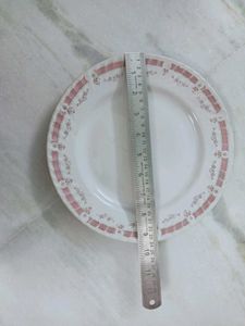 Vintage Dinner Plates (Set of 4)