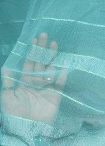 Sea Green Saree