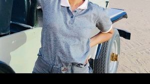 Grey Cropped Polo