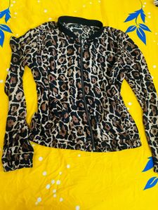 Tiger Print Size Medium To Large