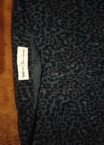 Leopard Print Bottom wear