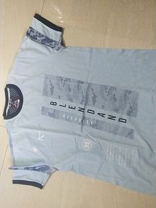 Boys T-shirt In Sky Blue Colour Large Size