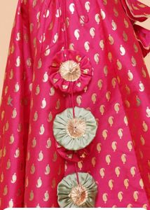 Floral Embroidered Lehenga Choli