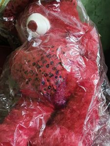 Red Teddy Bear