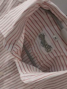 Striped Lining Full Sleeve Shirt
