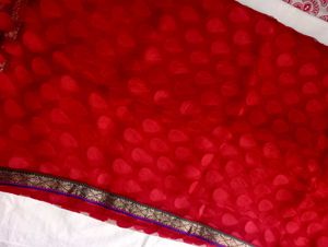 Red Net Saree