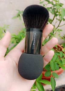 Mac Lipstick And Brush