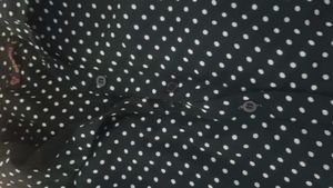 Polka Dot Sheer Dress