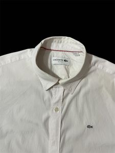 Lacoste Shirt For Men’s.