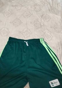 Green Sports Shorts