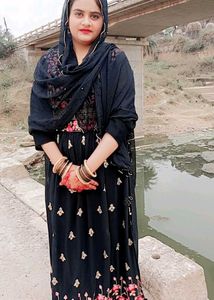 Elegant Black Embroidered Dress