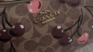 Coach Teri Shoulder Bag
