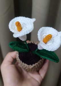 Crochet Calla Lily Plant