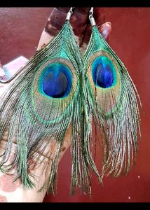 Combo Of 4 Peacock Earrings