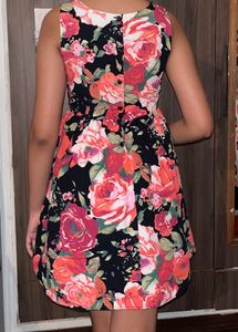 Floral Sleeveless Fit &amp; Flare Dress