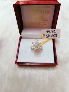 Pure Silver Turtle Ring