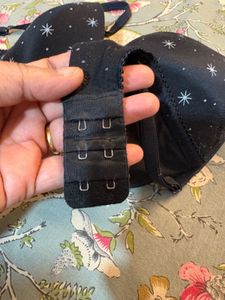 Wired Padded Bra By Blush