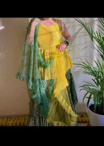 Party Wear Sharara