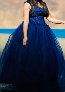 Elegant Blue Cinderella Dress
