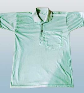 Vintage Pastel Green Polo Shirt