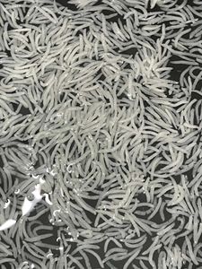 Shukriya Basmati Rice