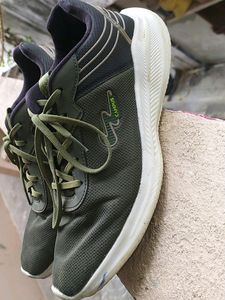 Campus Shoes