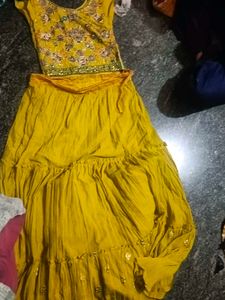 Embroidered Lehenga Choli