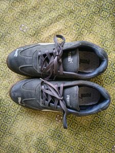 Puma Classics - Suede Sneakers