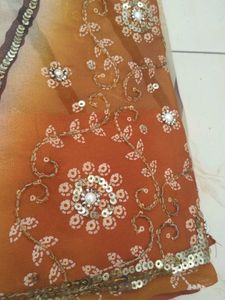 Elegant Embellished Saree