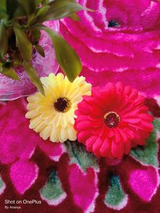 Woman Flower Yellow &amp; Red Clip 💛♥️