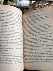 Heidi by Johanna Spyri