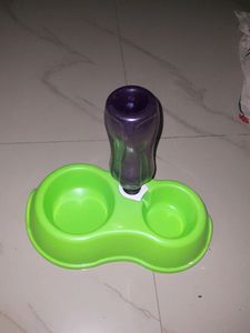 cat food and water bowl with automatic water filling setup