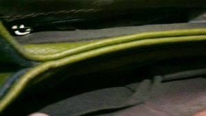Green Aesthetic Handbag