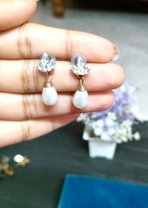 Beautiful Earnings To Schools And Colleges