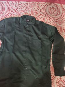 Stylish Green Shirt
