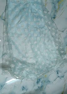 Embroidered Lehenga Choli