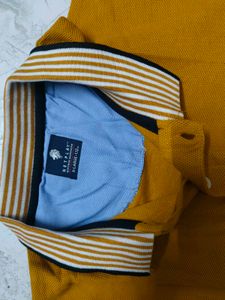Stylish Mustard Polo Shirt