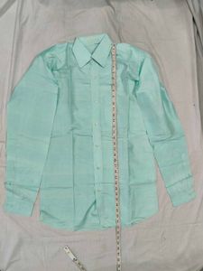 Pure Silk Mint Green Formal Shirt