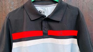 Stylish Polo T-Shirt