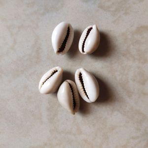 DS Natural Kawdi, Kaudi, Kowdi, Cowrie, Koudi, Kodi Shells Stone Packet - Set of 5 for Laxmi Pooja, Nazar